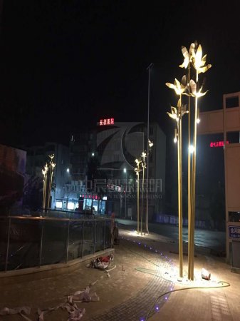 成都雙流區金河路花瓣里